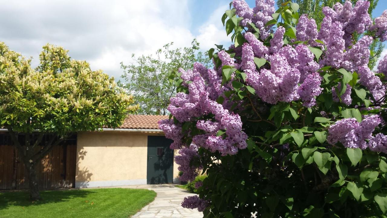 Casa Rural Las Tuyas En Segovia Palazuelos de Eresma Εξωτερικό φωτογραφία